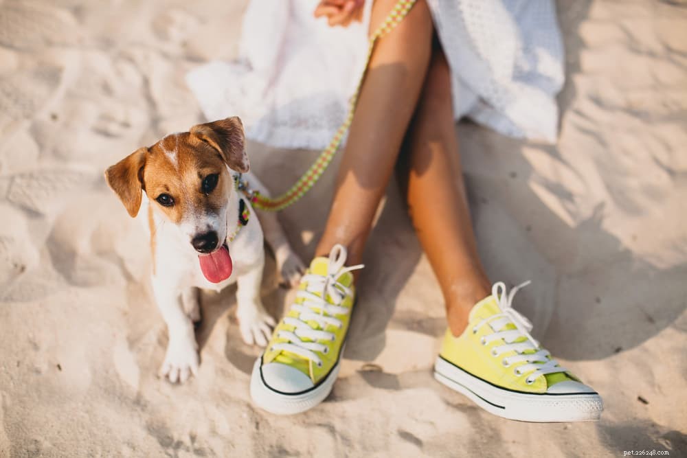 50 Trendy Dog Names for the Modern Pup