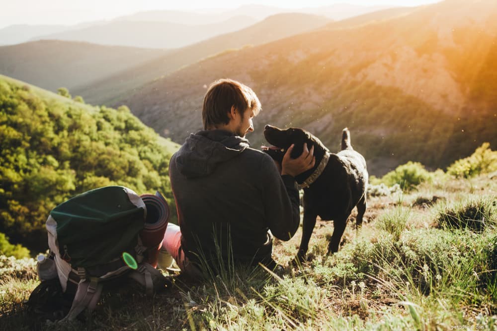79 Nature-Inspired Dog Names for Outdoor Adventurers