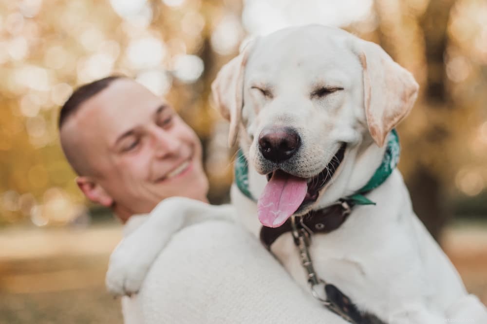 66 Powerful Names for Big Dogs That Match Their Size