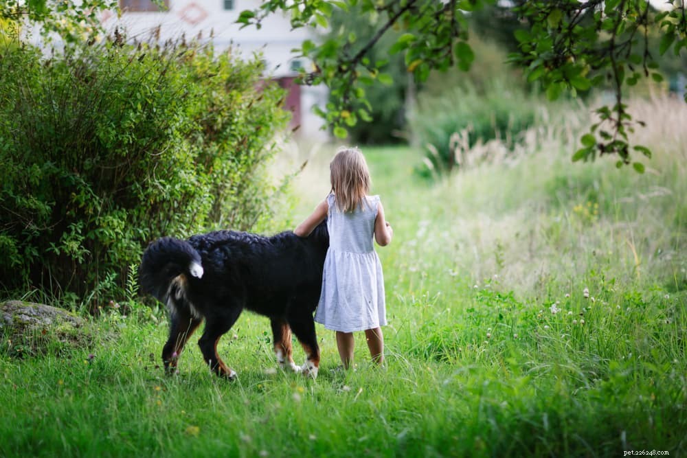 66 Powerful Names for Big Dogs That Match Their Size