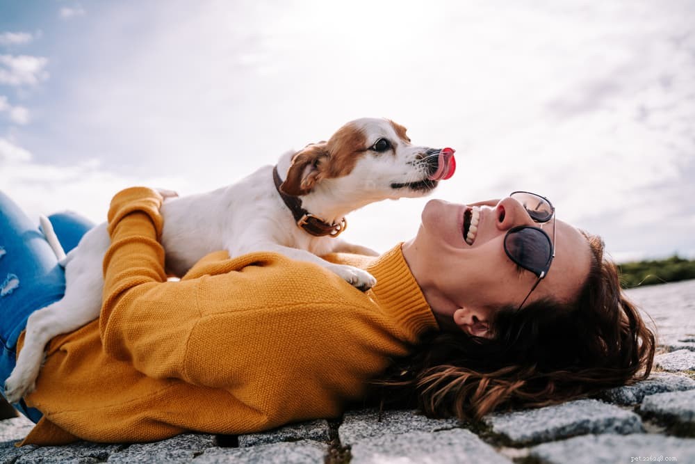 30 Powerful Female Dog Names for Strong Pups