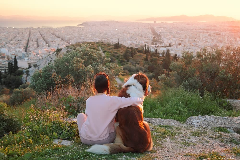 101 Unique Greek Dog Names: Mythical, Modern & Meaningful