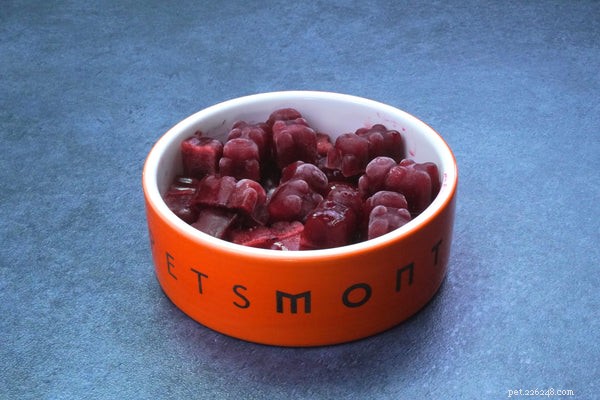 Top Innovative Dog Products of 2019 You Should Know