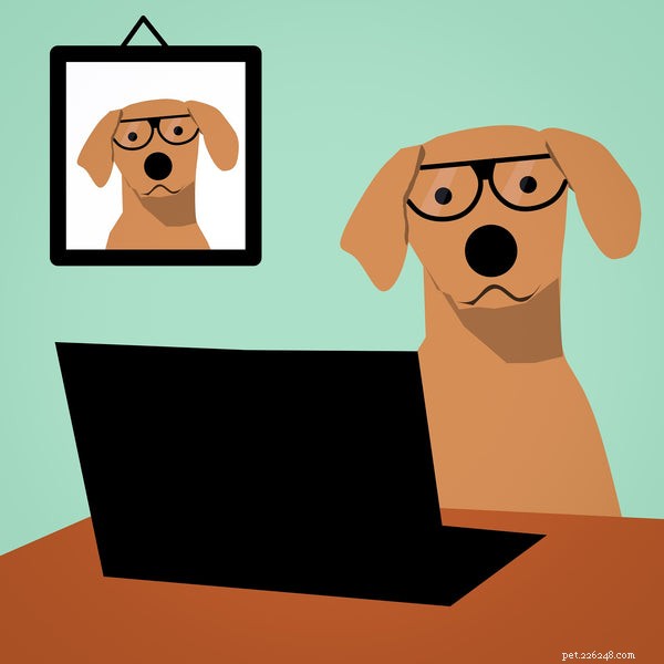 Top Pet Industry Trends of the 2020s: Technology, Loyalty, and Growth