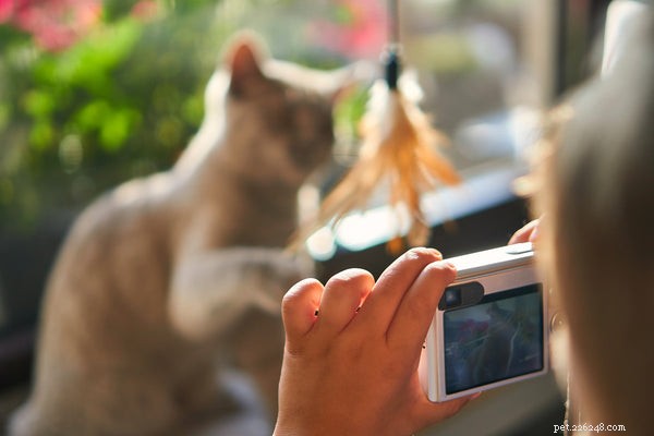 Top Pet Industry Trends of the 2020s: Technology, Loyalty, and Growth