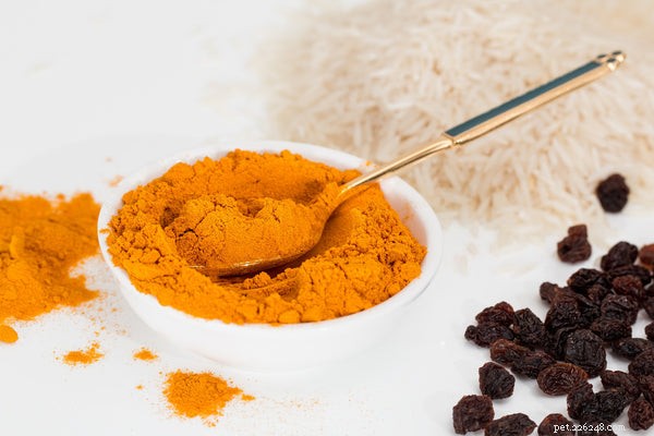 Holistic Pain Relief for Dogs: Natural Solutions for Arthritis & More