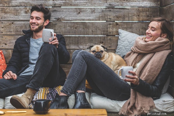 How Dogs Improve Mental Health: Proven Benefits for Anxiety, Depression, and More