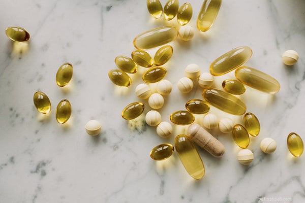 Optimizing Your Dog’s Health: A Comprehensive Guide to Natural Diet Supplements