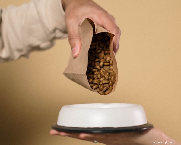 How to Switch Your Dog to a Healthier Kibble—and Why It Matters