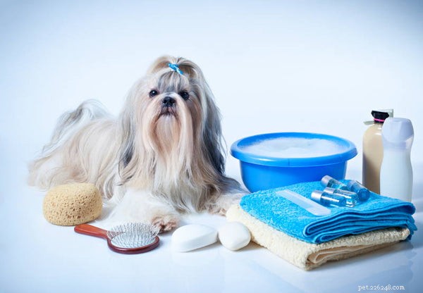 The Ultimate Shih Tzu Bath Guide: Pro Tips for Clean, Healthy Pups