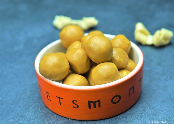 Managing Pet Food Allergies: 6 Proven Tips for Happy, Healthy Pets