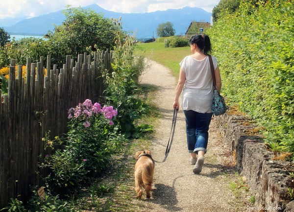 Scientific Evidence Shows Pets Enhance Well‑Being and Happiness