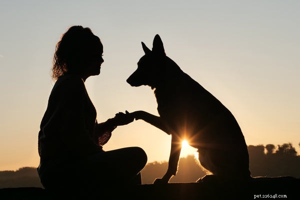 Scientific Evidence Shows Pets Enhance Well‑Being and Happiness