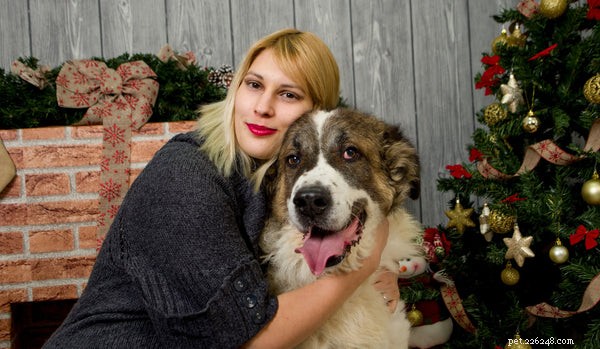 Why Dogs Are Man s Best Friend: The Surprising Truth Behind the Bond
