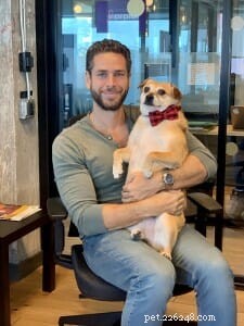 Staying Home? Watch This Heartwarming Dog Story for a Pick-Me-Up