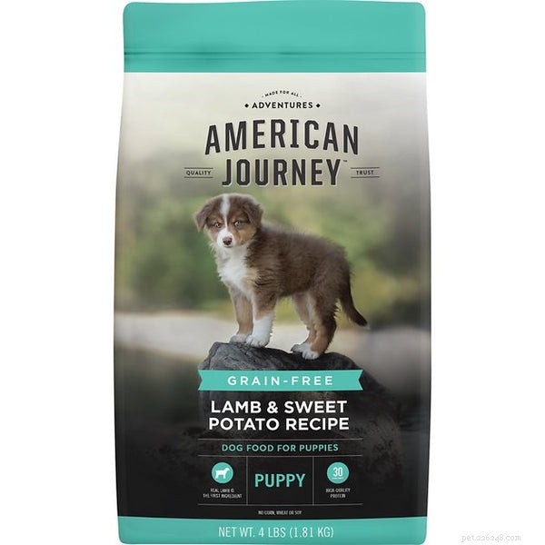 Choosing the Ideal Dog Food for Goldendoodles: Health & Happiness