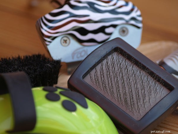 7 Expert Tips for Grooming Your Dog at Home