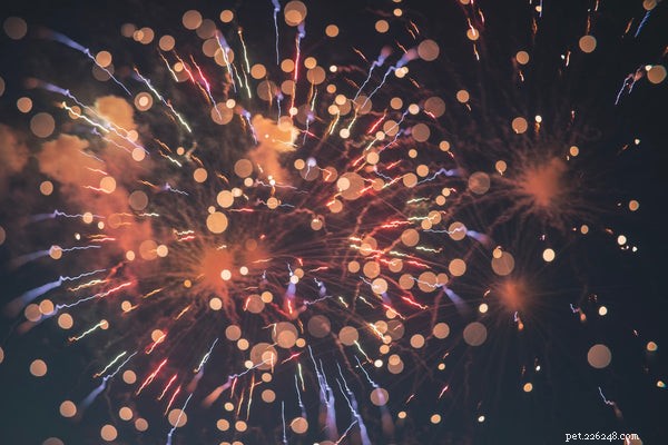 Safeguarding Your Dog During Fireworks: 5 Essential Tips