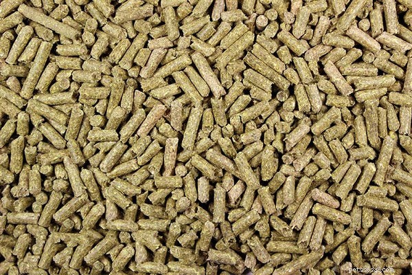 Optimal Rabbit Nutrition: A Complete Guide to Feeding Your Pet