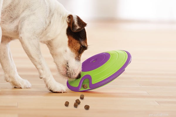 Discover the Best Automatic Dog Treat Dispenser: Keep Your Pup Engaged & Boredom-Free