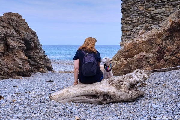 Top Hiking Dog Breeds for Mountain Adventures