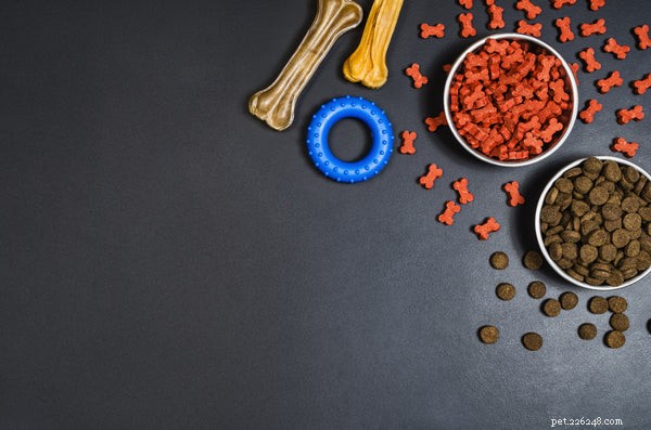 Vet-Approved Dog Food Guide: Choose the Best Nutrition for Your Pet