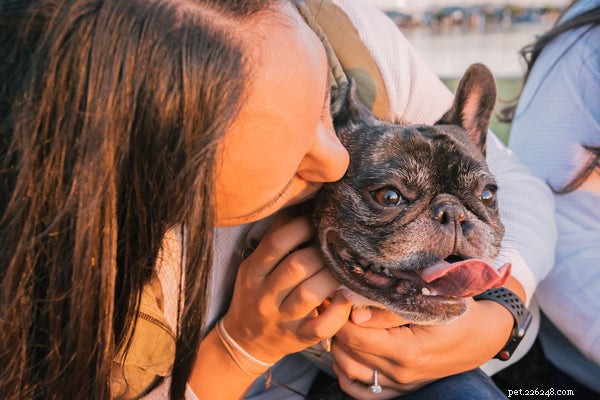 How to Pet a Dog: Techniques & Key Tips for a Positive Experience
