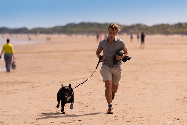 Essential Dog Exercise Guide: Keep Your Pup Fit & Happy