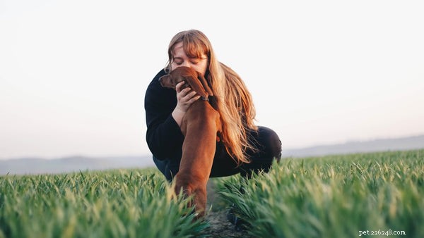 Essential Dog Exercise Guide: Keep Your Pup Fit & Happy