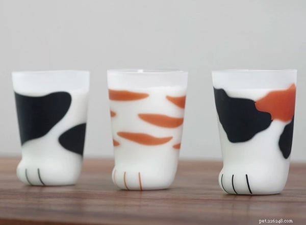 Top 5 Gift Ideas for Cat Lovers: From Gadgets to Cozy Accessories