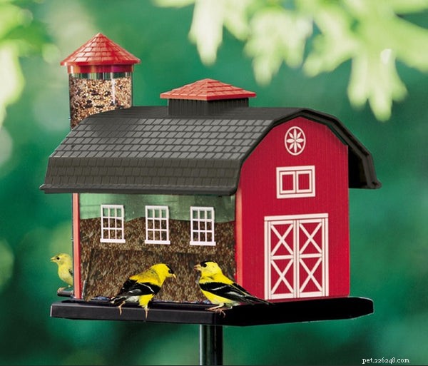 Top Bird Feeders of 2024: Find the Best for Your Yard