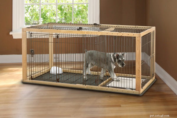 7 Essential Puppy Accessories Every New Owner Should Have