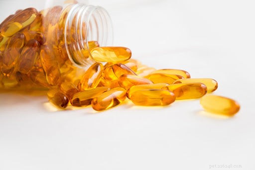 Omega‑3 for Dogs: Benefits, Dosage, and Why It Matters