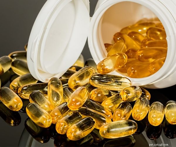 Omega‑3 for Dogs: Benefits, Dosage, and Why It Matters