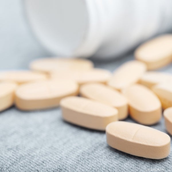 Top Dog Supplements for Optimal Health and Wellness