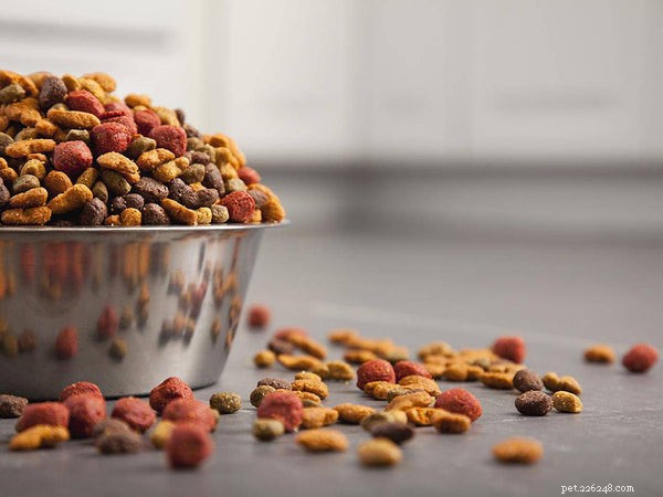 Top Dog Supplements for Optimal Health and Wellness