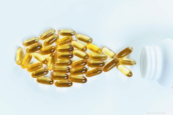 Top Dog Supplements for Optimal Health and Wellness