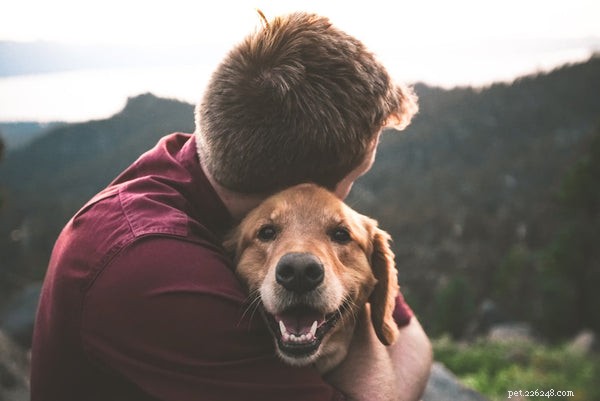 Top Dog Training Tricks: Easy to Advanced Tips for New Owners