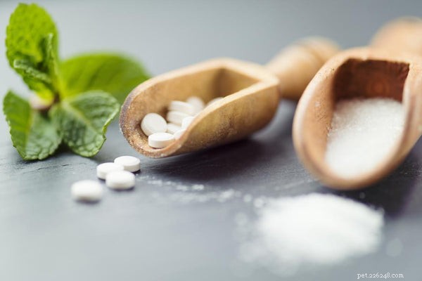 Foods Humans Eat That Are Dangerous to Dogs: What to Avoid