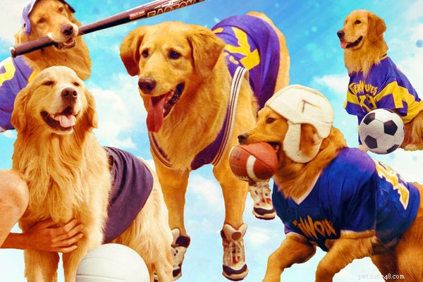 The 5 Most Iconic Dogs in Film, TV, and Pop Culture