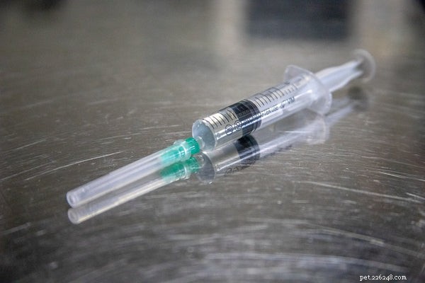 The Complete Guide to Pet Vaccinations: Protect Your Companion Today