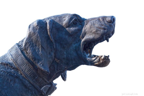 Understanding Dog Growling: Signs, Causes, and How to Respond