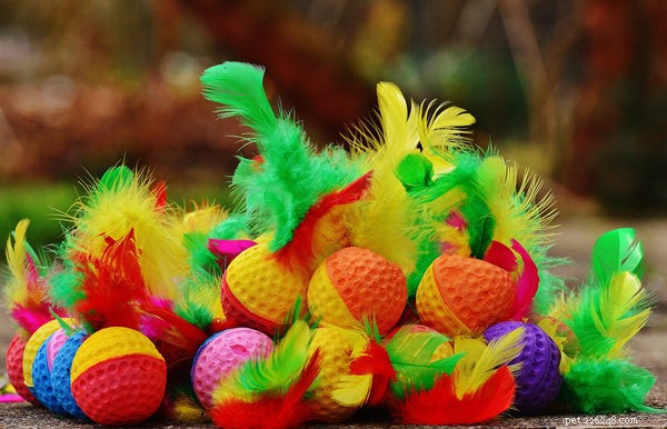 Top Cat Toys Every Owner Should Consider