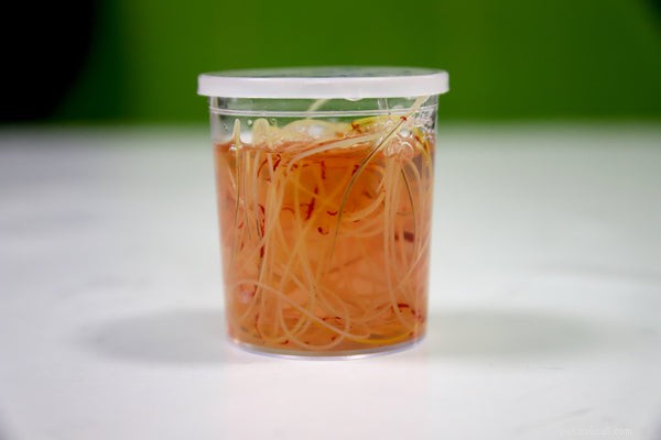 How to Spot Heartworm Disease in Dogs: Key Symptoms and Prevention