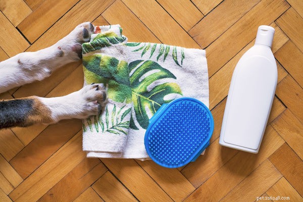 Top Puppy Shampoos: Expert Guide to Safe, Effective Bathing