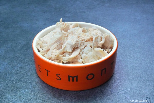 Vet-Approved Homemade Dog Food Recipes for Optimal Pet Health