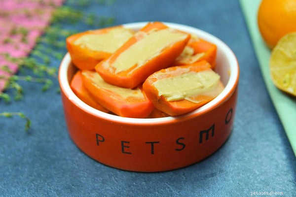 Vet-Approved Homemade Dog Food Recipes for Optimal Pet Health