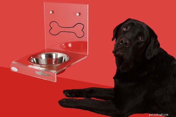 Smart Automatic Dog Feeders: Reliable Nutrition for Your Pet