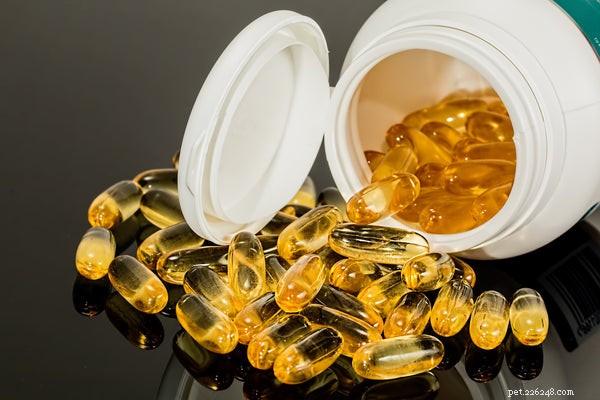 Wild Alaskan Salmon Oil for Dogs: Key Benefits & How to Choose the Right Supplement
