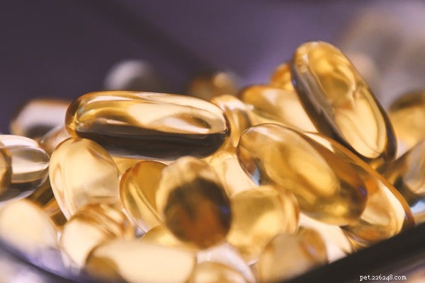 Wild Alaskan Salmon Oil for Dogs: Key Benefits & How to Choose the Right Supplement